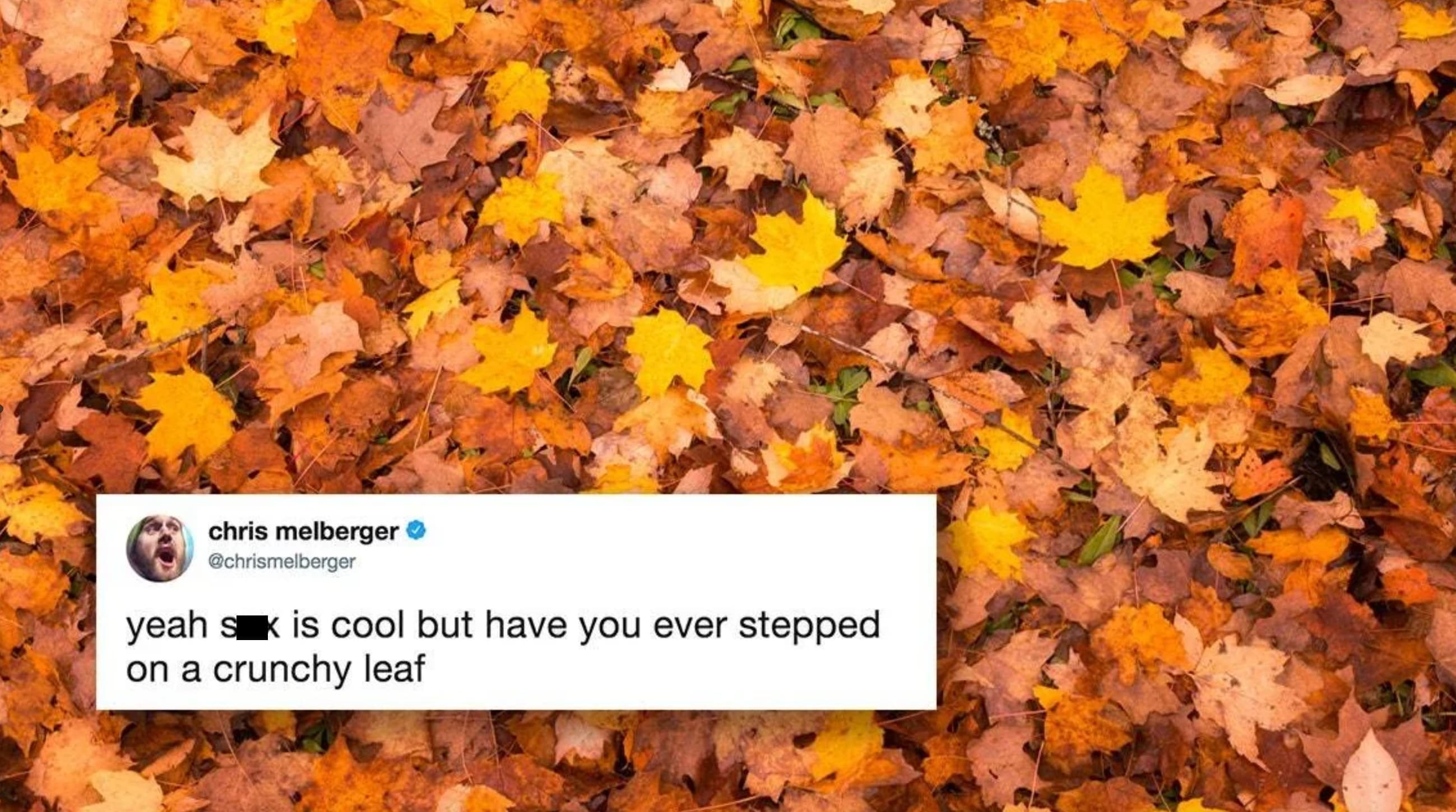 yeah sex is cool but meme - chris melberger yeah sx is cool but have you ever stepped on a crunchy leaf